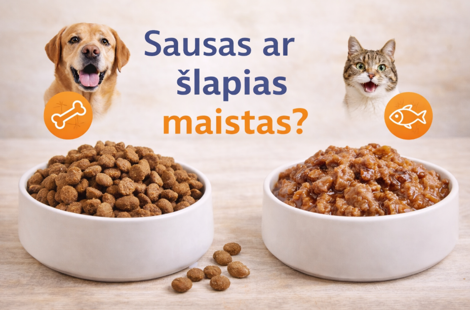 sausas ar šlapias maistas?